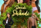 Daadi Ki Shaadi 2026 WEB-DL 1080p movieflixz