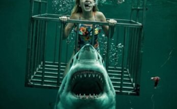 Chum 2026 WEB-DL 1080p AAC x264 movieflixz